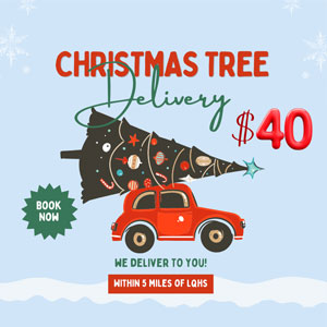 Delivery